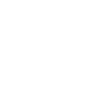 Alex Surf Club Logo