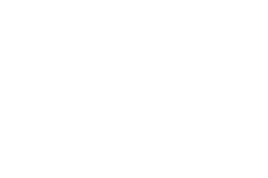 Website Case Study - Griffith University