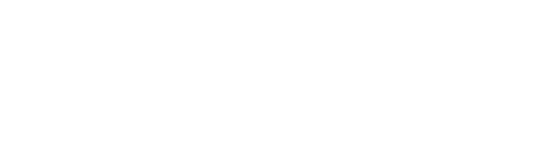 Magento Partner