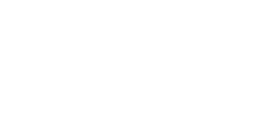 Neto Partner