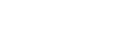 Webflow Partner